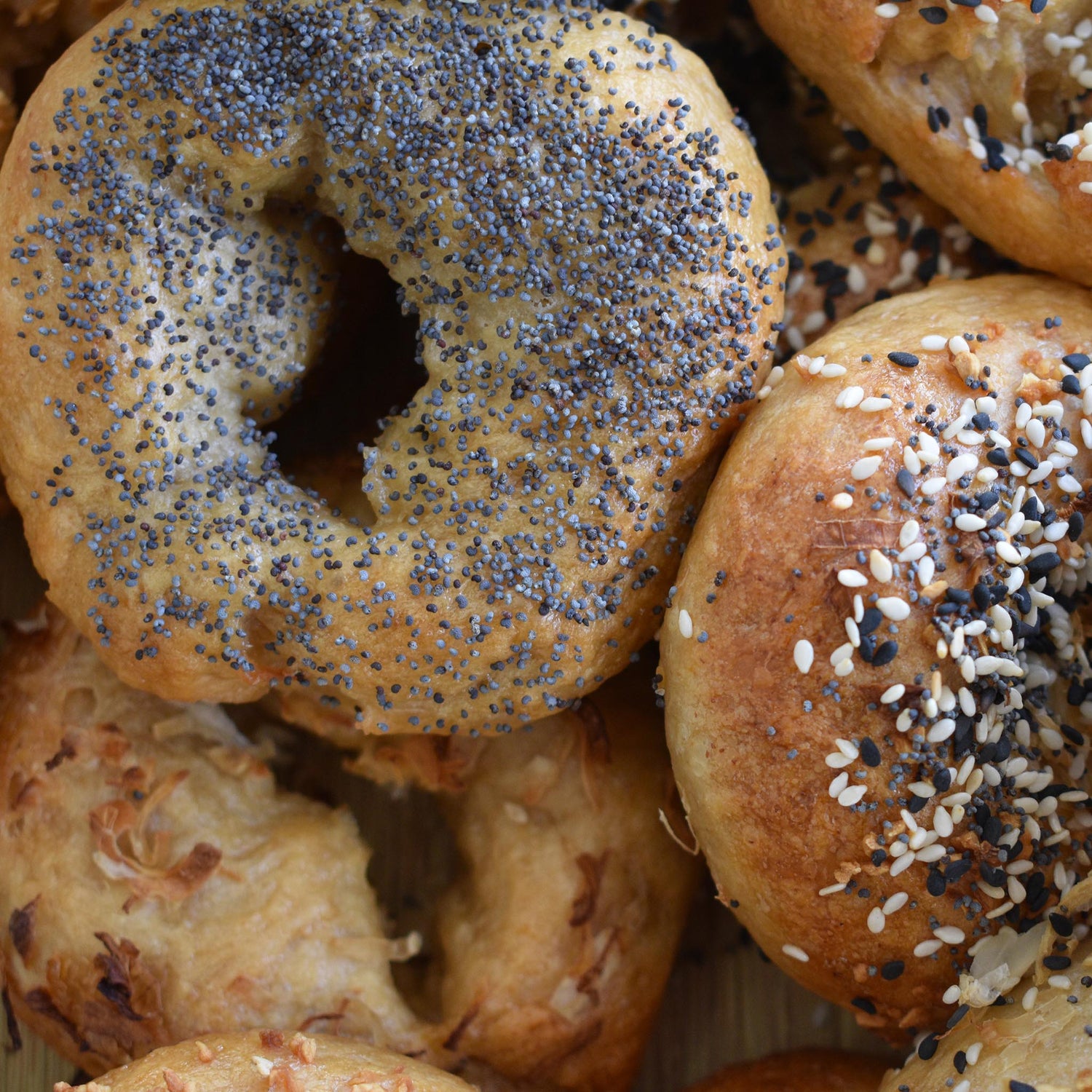 Assorted Bagel Pack