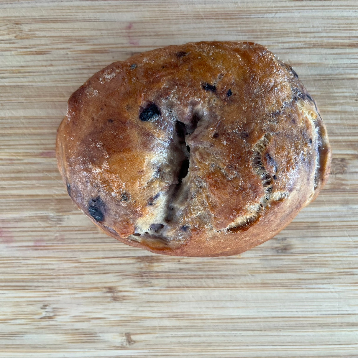 Blueberry Bagel