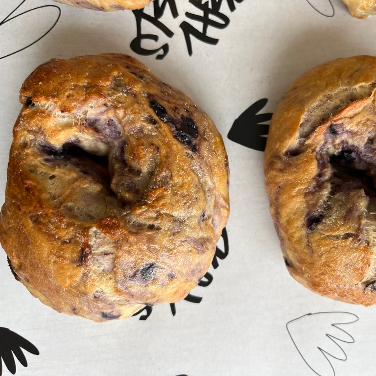 Blueberry Bagel