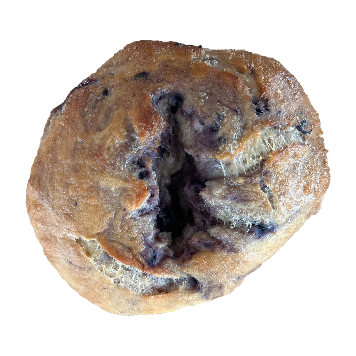 Blueberry Bagel