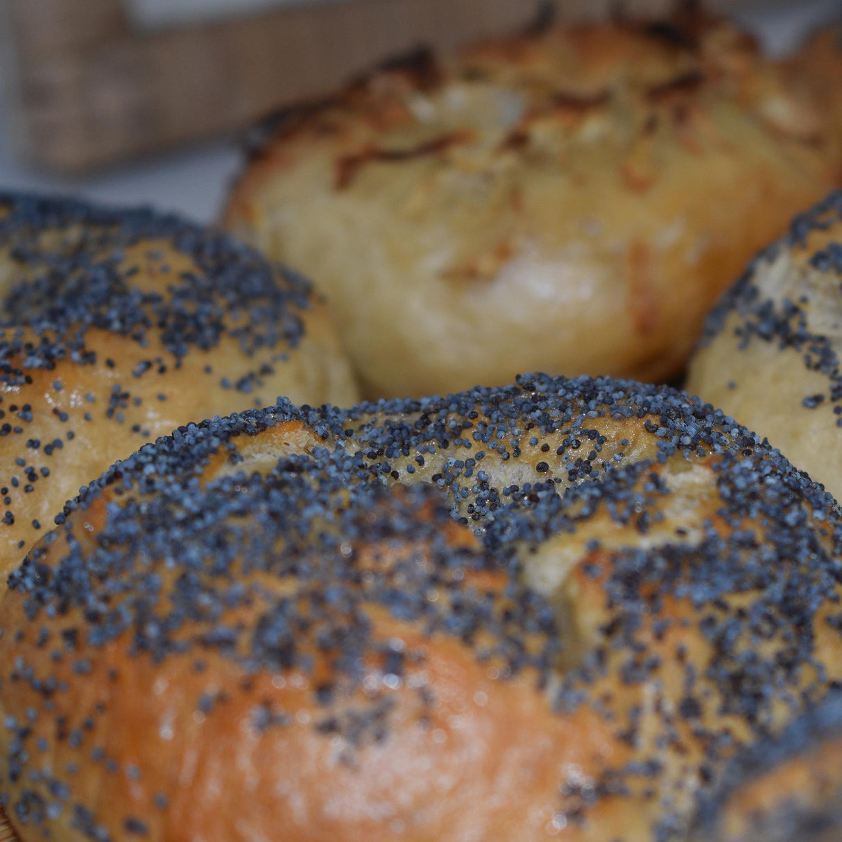 Poppy Seed Bagel