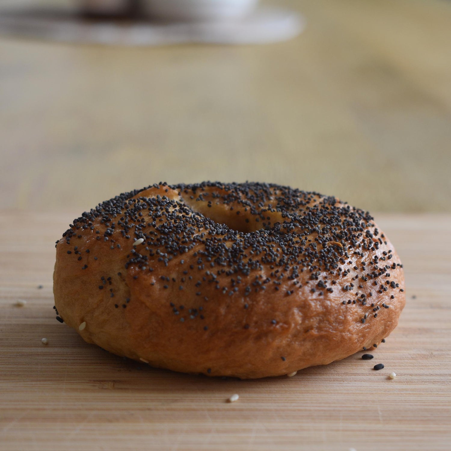 Poppy Seed Bagel
