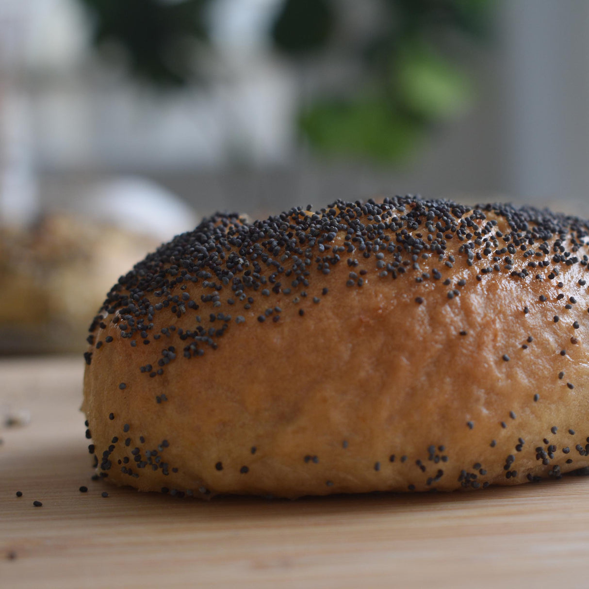 Poppy Seed Bagel
