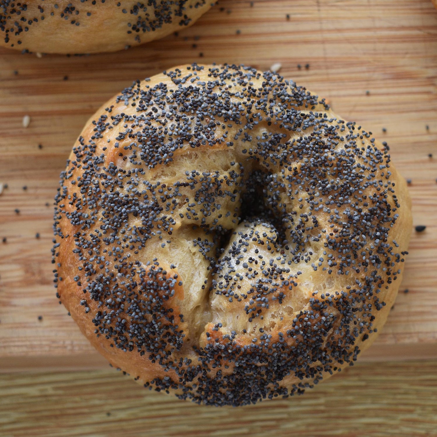 Poppy Seed Bagel