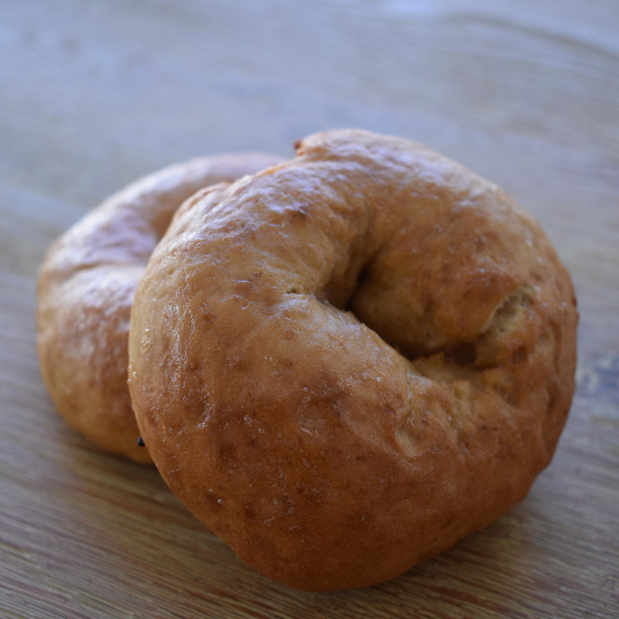 Plain Bagel