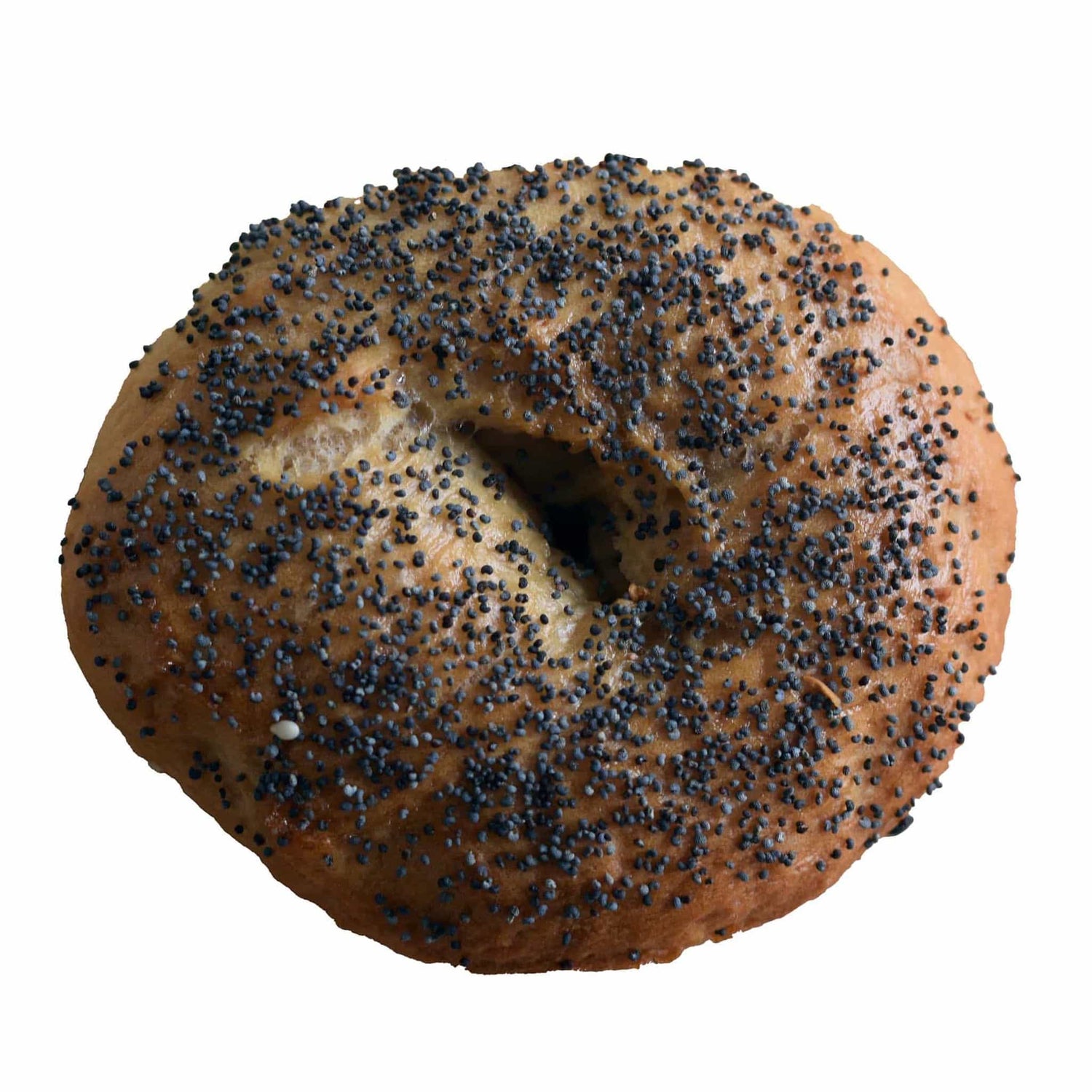 Poppy Seed Bagel