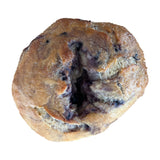 Blueberry Bagel